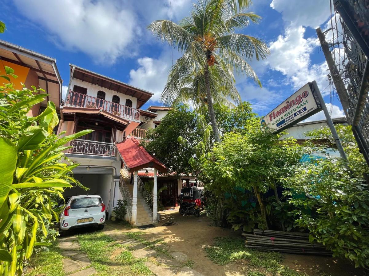 Flamingo Guest House Unawatuna Exteriér fotografie